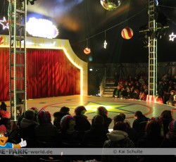 Premiere Madagascar Live!