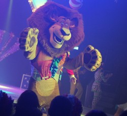 Premiere Madagascar Live!