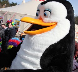 Premiere Madagascar Live!