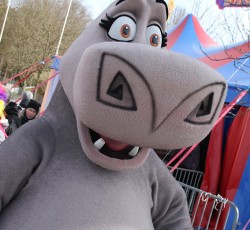 Premiere Madagascar Live!