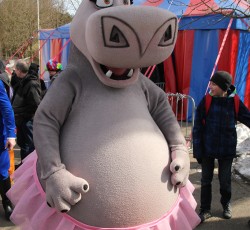 Premiere Madagascar Live!