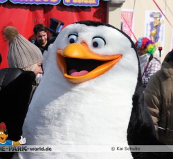 Premiere Madagascar Live!