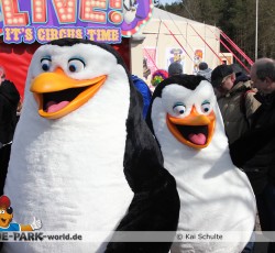 Premiere Madagascar Live!