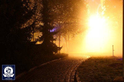 Scarezone Im Dunklen Wald