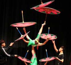 Showproben: Piraten Cabaret