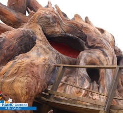 Colossos Fanday 2019