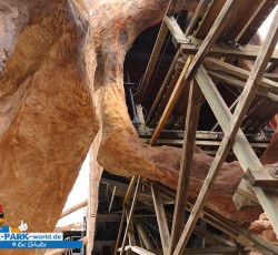 Colossos Fanday 2019