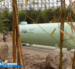 Colossos Fanday 2019