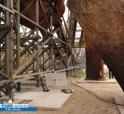 Colossos Fanday 2019