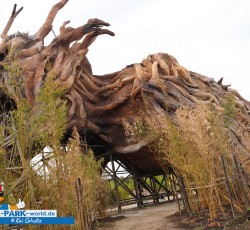 Colossos Fanday 2019