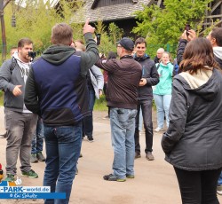 Colossos Fanday 2019