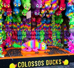 Colossos Ducks