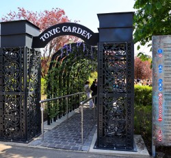 Toxic Garden