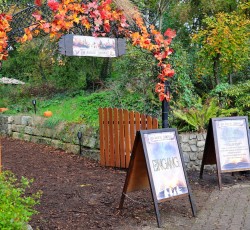 Magischer Zauberwald