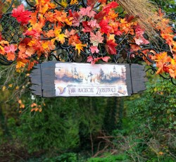 Magischer Zauberwald 