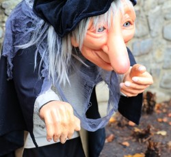 Magischer Zauberwald 