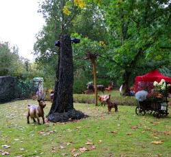 Magischer Zauberwald 