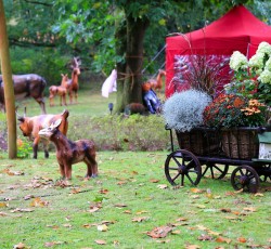 Magischer Zauberwald 