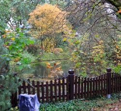 Magischer Zauberwald 