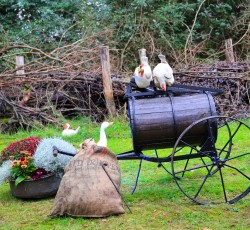 Magischer Zauberwald 