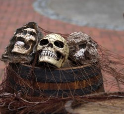 Piratenfest 