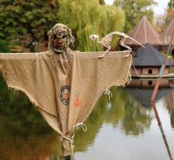 Vogelscheuche