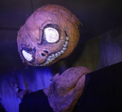 SubTerra Erntebankett