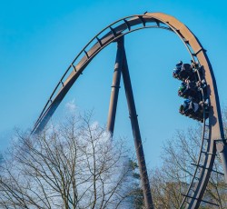 Krake