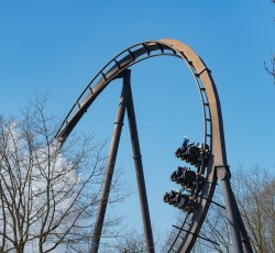 Krake