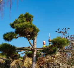Baum 