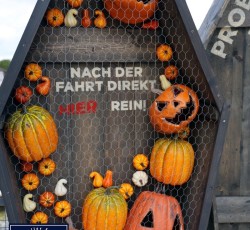 Halloween Deko