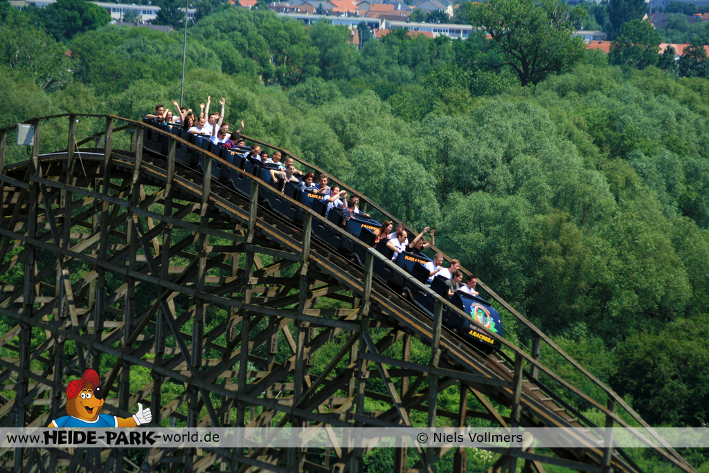 baublog_anaconda_250