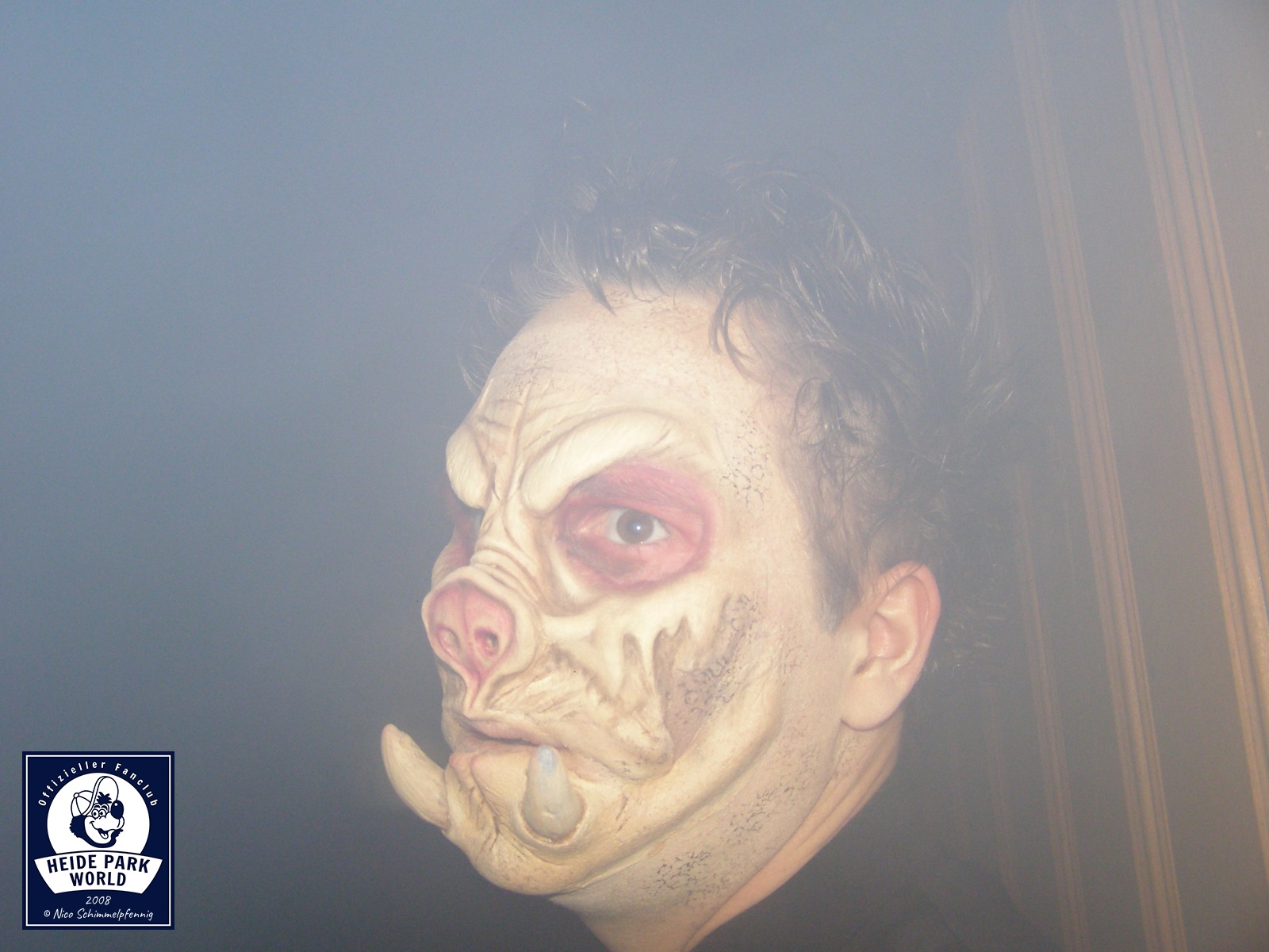 081031 ns halloween verbotener wald 01