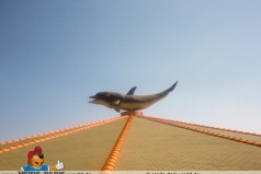 DekoDelphin