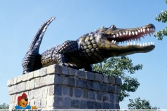 DekoKroko