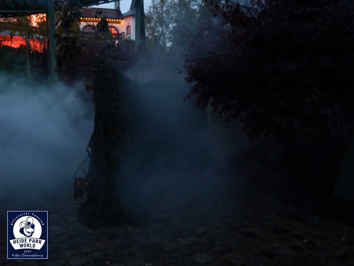 101023 Ns Halloween Verfluchter Wald 03