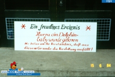 840615_delphingeburt