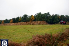 041031_ns_holidaycamp_001