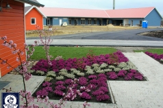 050408_hpr_holidaycamp_033