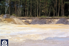 050421_hpr_holidaycamp_011