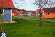 050826_ns_holidaycamp_006