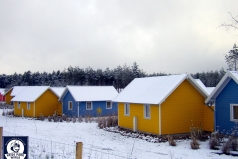 051217_ns_holidaycamp_001