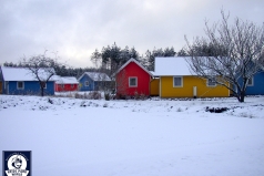 051217_ns_holidaycamp_003