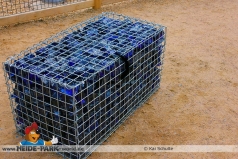 baublog_15_05_04_006