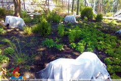 Foto-02.09.15-22-37-26