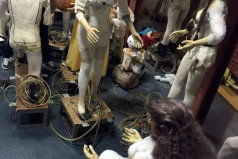 12810047_981272191950667_1640797574_o