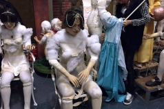 12823160_981272201950666_1288682157_o