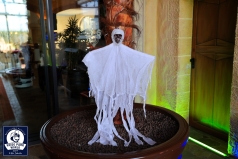 240328_ks_baublog_gruft_001