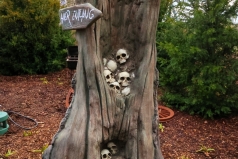 240328_ks_baublog_gruft_047