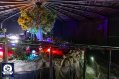 5G4A0851-Verbessert-RR